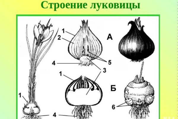 Ссылка на супернет в тор
