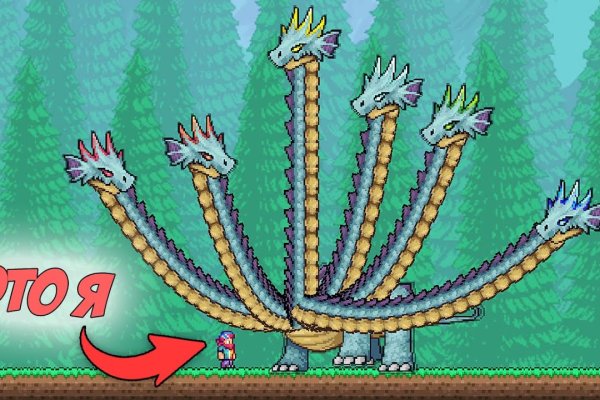 Kraken рынок